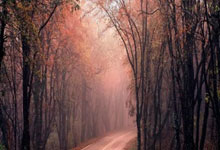 Gurumurthy's Vision: Globalisation's End? India's Moment & A New Global Dawn