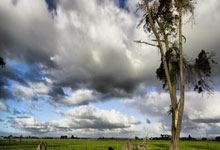 Gurumurthy's Vision: Globalisation's End? India's Moment & A New Global Dawn