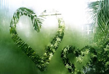 Costco Recalls: Unpacking the Details and Charting a Better Future