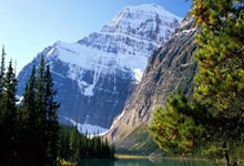 Costco Recalls: Unpacking the Details and Charting a Better Future