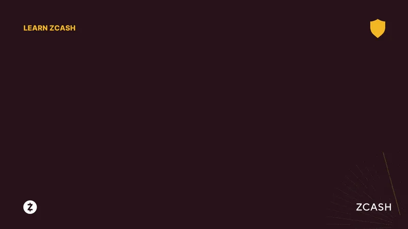 Zcash: Price Crash, Predictions, and Reddit's Take